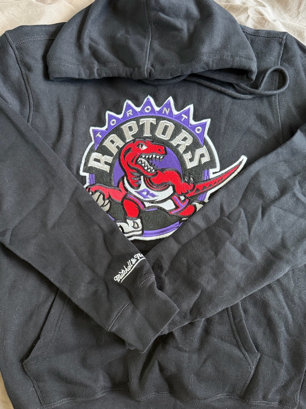 Raptors Hoodie